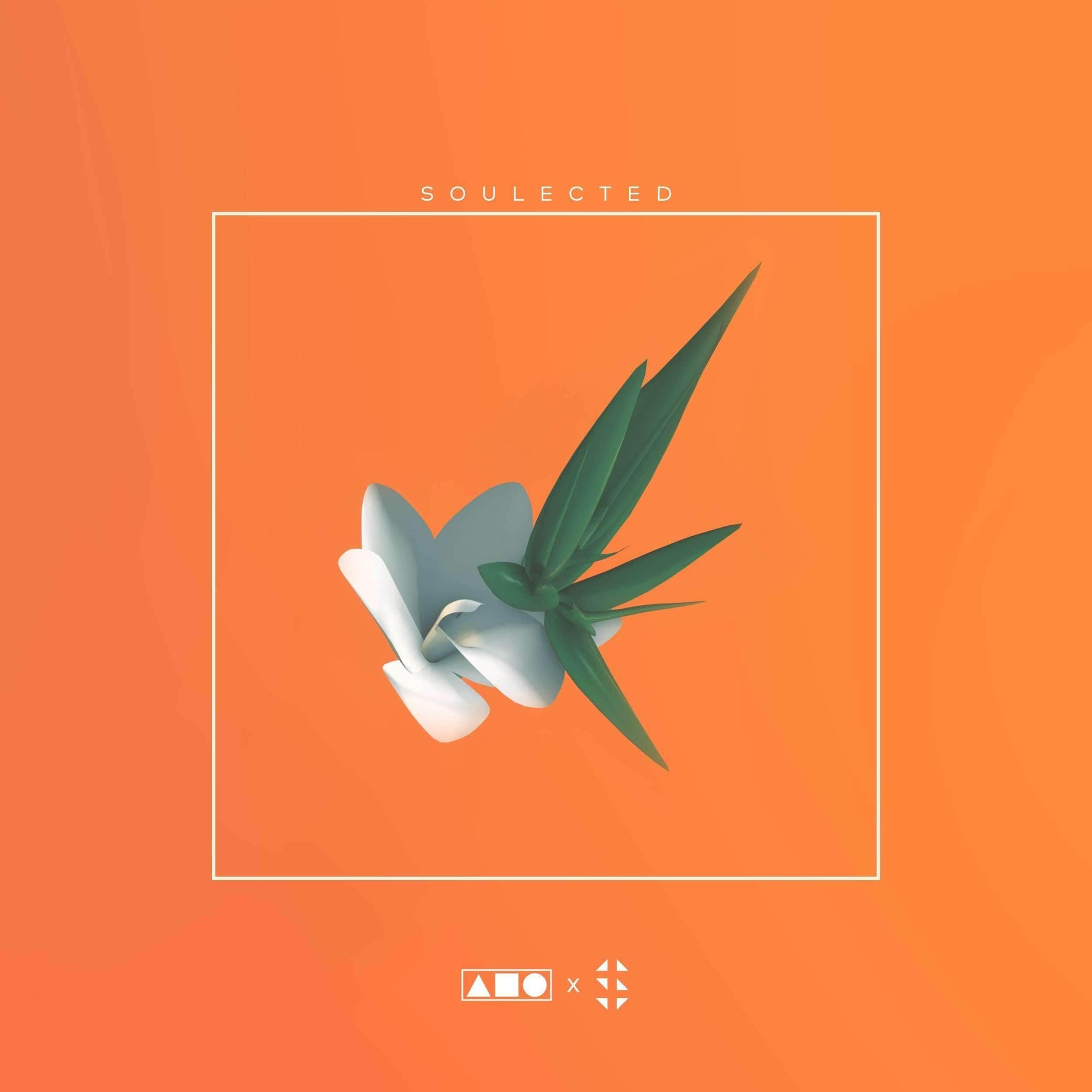 Soulected | Hip Hop - Soul Sample Pack Squadpack x Samplified 